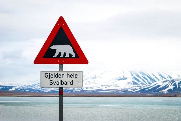 Norveška planira izbeglice da udomi na Svalbard, arktički arhipelag na koji ima više polarnih medveda nego ljudi