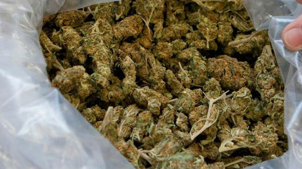 Policija zaplenika kilogam marihuane