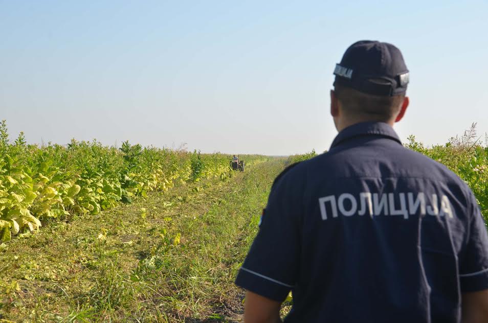 Uspešna borba protiv švercera duvana