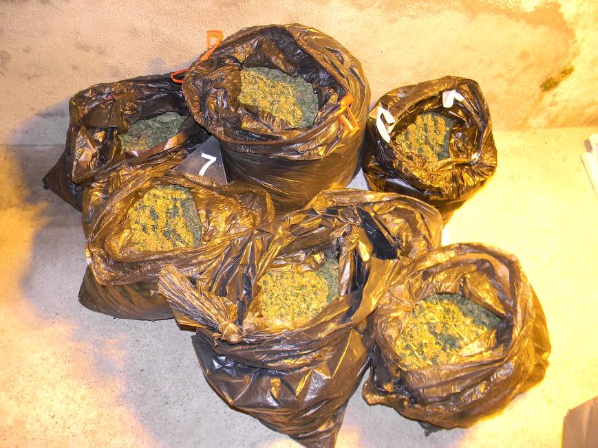 Niška policija zaplenila 90 kilograma marihuane