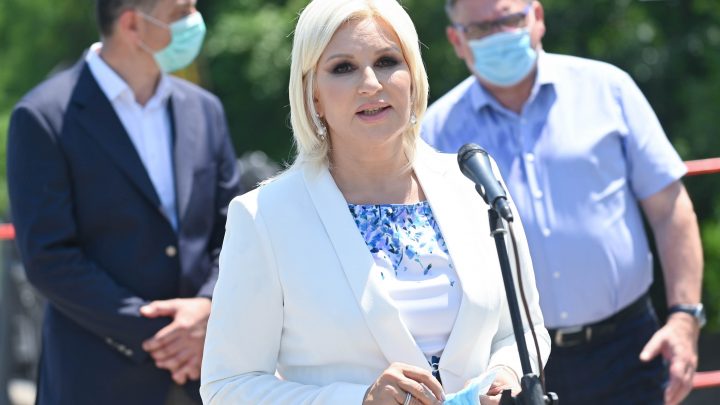 Kod Zorane nema bolesnih