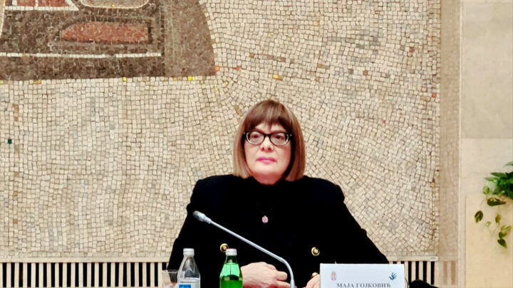 Гојковић: Неопходна јасна подршка жртвама сексуалног насиља