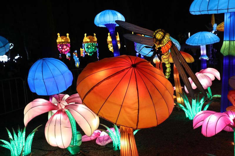 Kineski festival svetla produžen do 28. februara