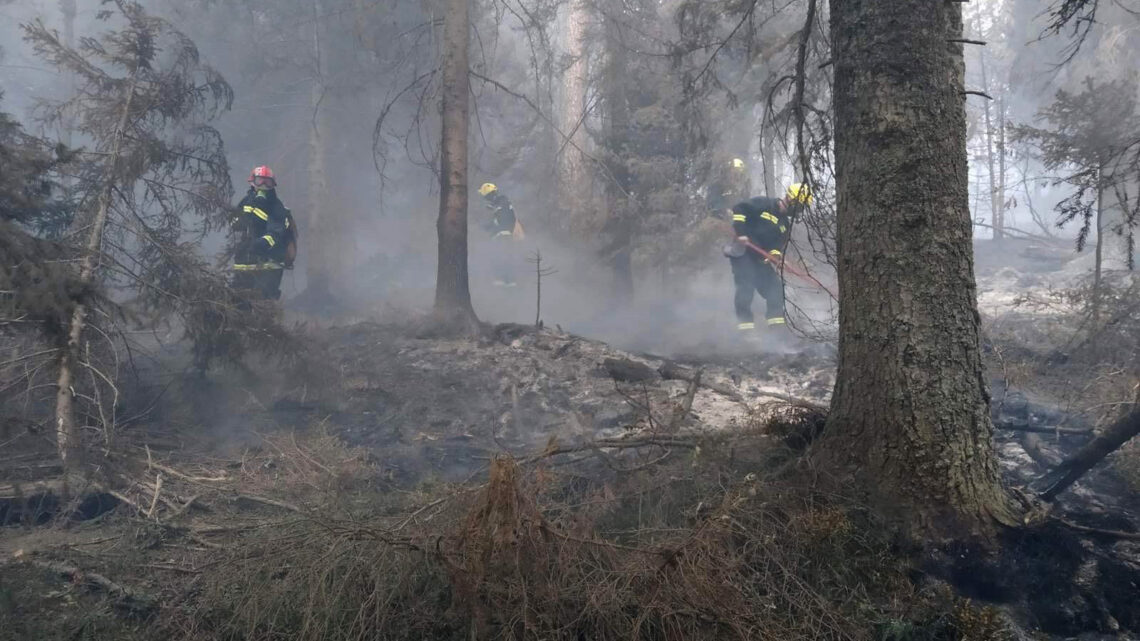 Пожари на Златибору и Тари под контролом