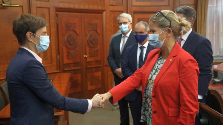 Србија чврсто опредељена за унапређење свеукупних односа са Француском