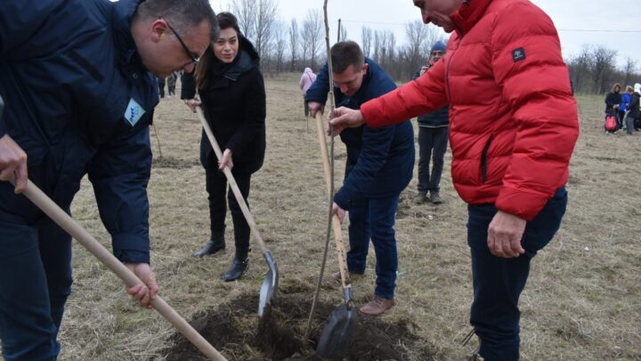 Вујовић у Србобрану: Садимо за будуће генерације