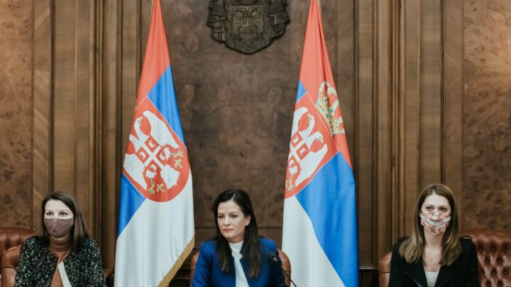 Srbija napredovala u oblasti razvoja elektronske uprave