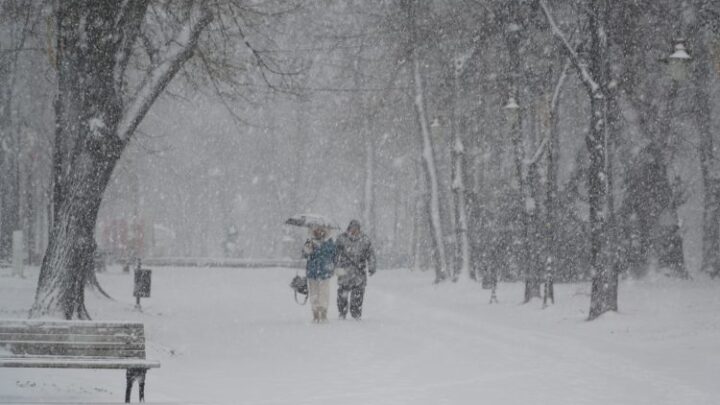 Upozorenje RHMZ, slede ledeni dani sa temperaturom do minus 15 stepeni