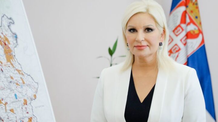 Михајловићева: СРС и Шешељ више неће одлучивати ни о кандидатима за МЗ