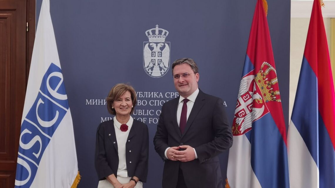 Селаковић разговарао са представницом ОЕБС-а за слободу медија Селаковић разговарао са представницом ОЕБС-а за слободу медија