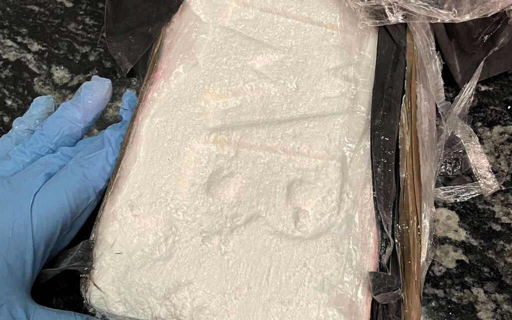 У међународној акцији заплењено преко 100 килограма кокаина