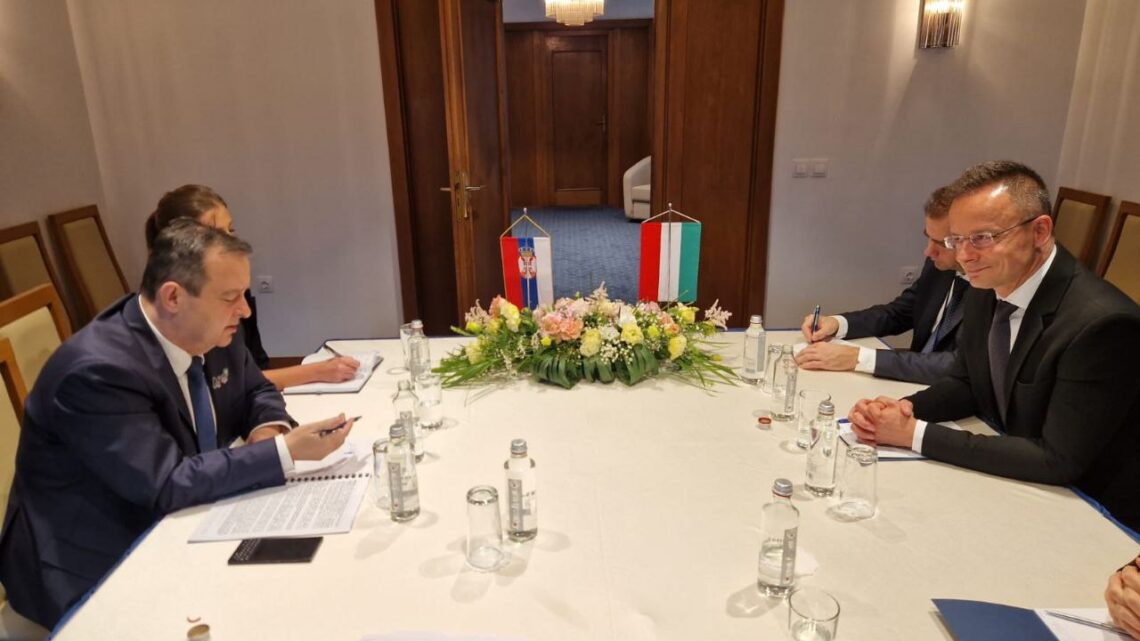 Ивица Дачић са шефом дипломатије Мађарске на маргинама ЦЕИ