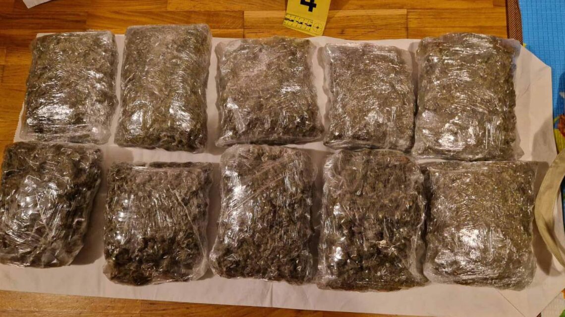 Полиција у две одвојене акције запленила 16 килограма марихуане