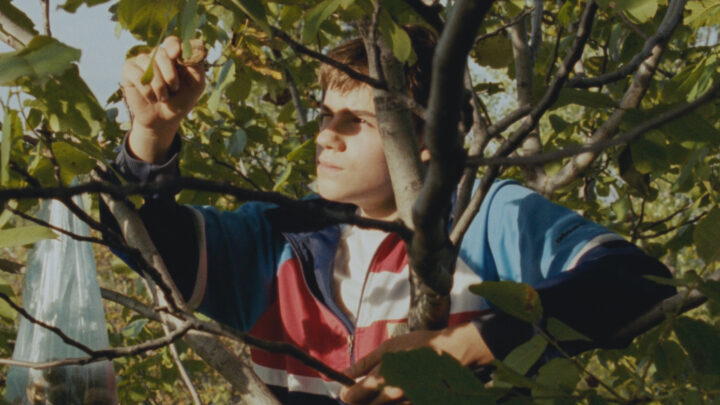 Srpski dugometražni igrani film „Lost Country“ Vladimira Perišića uvršten u program „Nedelja kritike“ Kanskog filmskog festivala