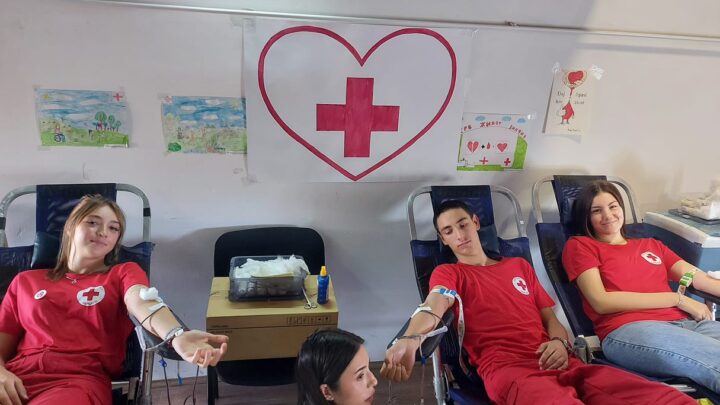 Национални дан добровољних давалаца крви