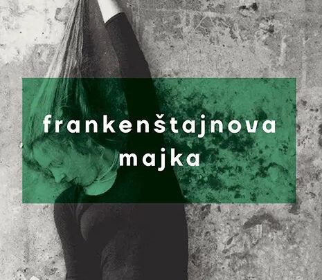 Promocija „Frankenštajnove majke“ u Institutu Servantes
