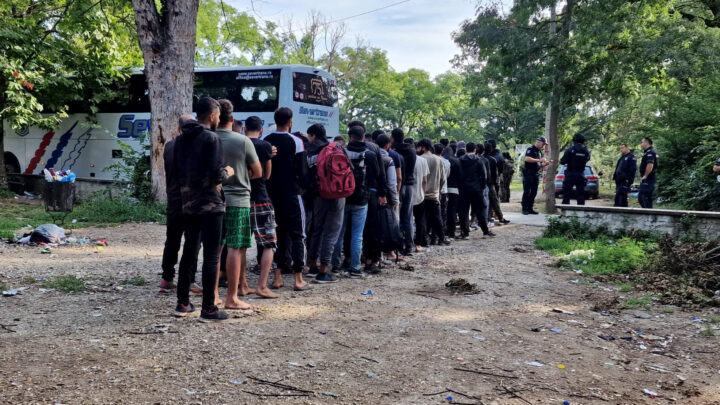 На подручју Сомбора пронађена 382 ирегуларна мигранта