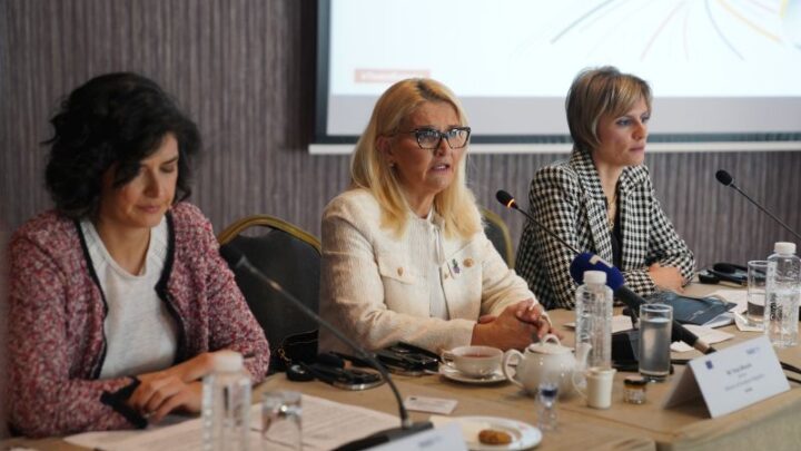 Мишчевић учествовала на стручном скупу о спречавању заобилажења санкција