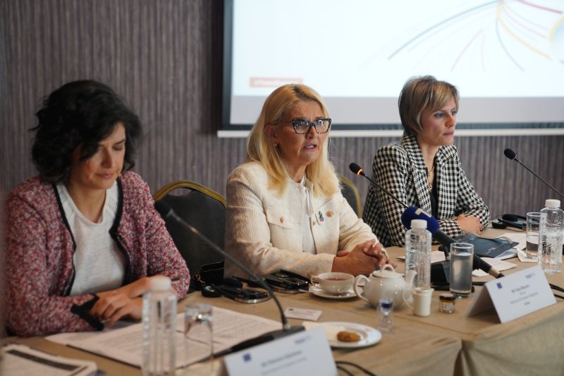 Мишчевић учествовала на стручном скупу о спречавању заобилажења санкција