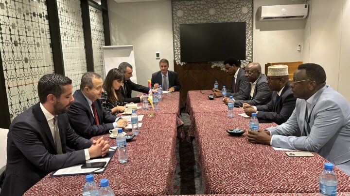 Министар Дачић разговарао са министром иностраних послова Сомалије