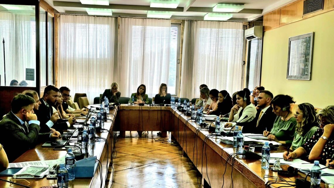 Србија бележи стални напредак на пољу заштите националних мањина Србија бележи стални напредак на пољу заштите националних мањина