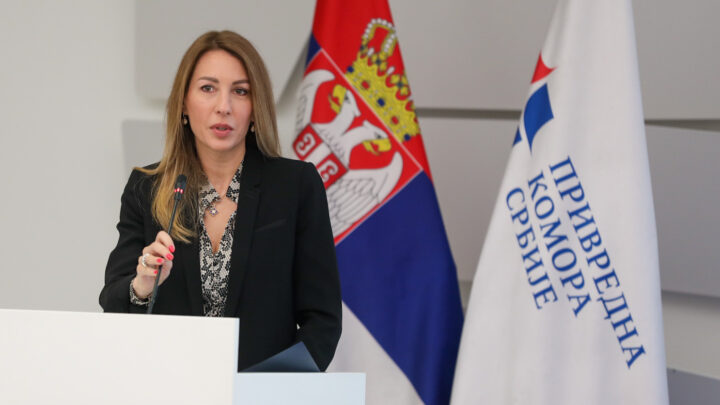 Усвојен Интегрисани план за енергетику и климу, до 2030. године 45 одсто електричне енергије из ОИЕ