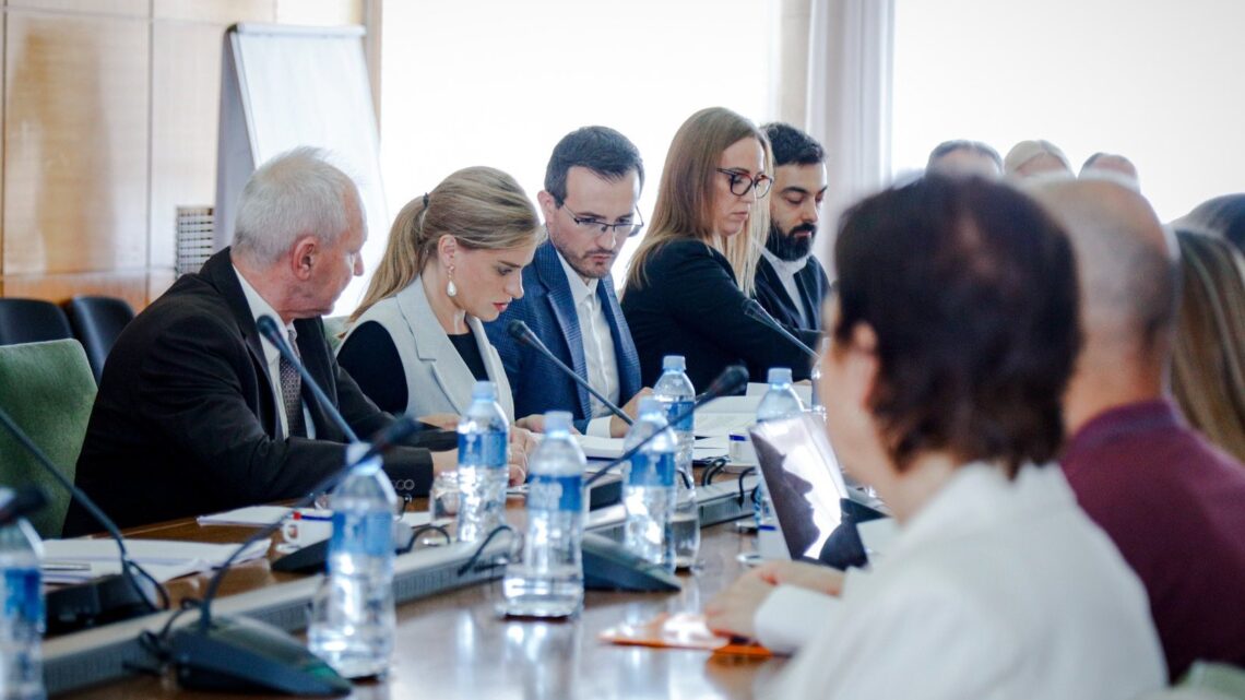 Конституисан Савет за старење и међугенерацијску сарадњу