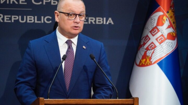 Весић: Влада Србије не планира експропријацију за потребе компаније Рио Тинто