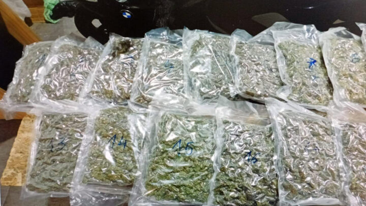 На Батровцима заплењено приближно 11 килограма марихуане