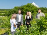 Безбедност хране процес који почиње на њивама